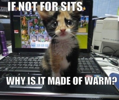 if+not+for+sits+why+is+it+made+of+warm+lolcat+meme+lol.jpg