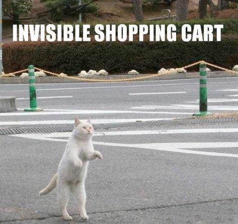 black-friday-lolcats-5.jpg