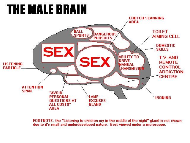 manbrain%5B1%5D.jpg