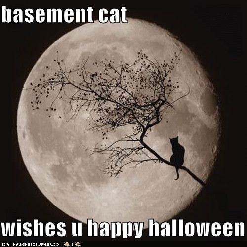 funny-pictures-basement-cat-wishes-you-a-happy-halloween.jpg