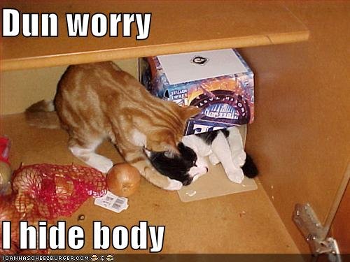 lolcats-Dun+worry+hide+body.jpg