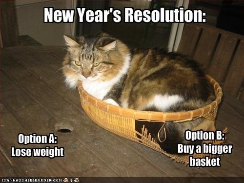 new-years-res-cat-in-basket.jpg?w=640