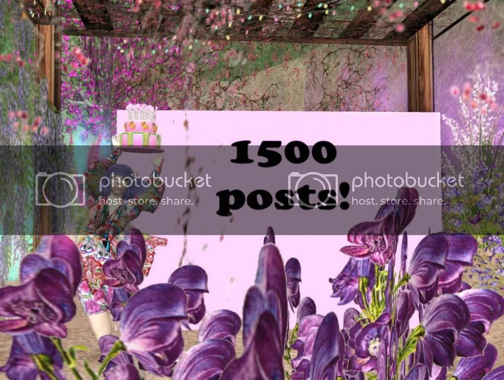 15-07-101500posts.jpg