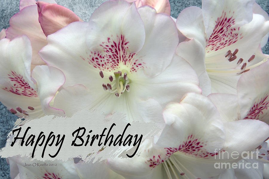 fond-birthday-wishes-jean-okeeffe.jpg