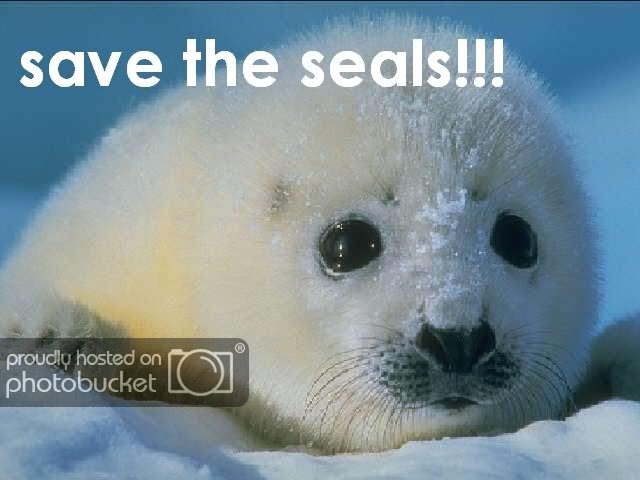 seals.jpg