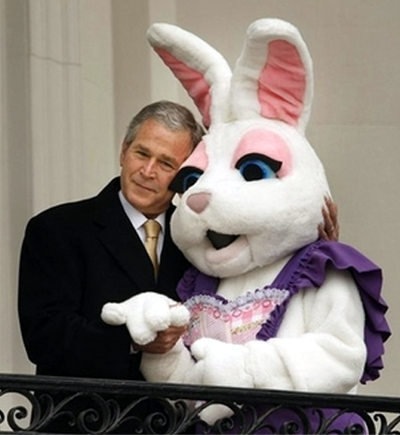 bushbunny.png