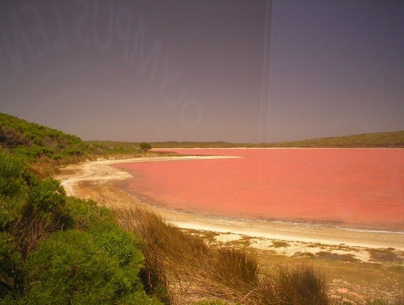 lake-hillier-2%25255B3%25255D.jpg?imgmax=800