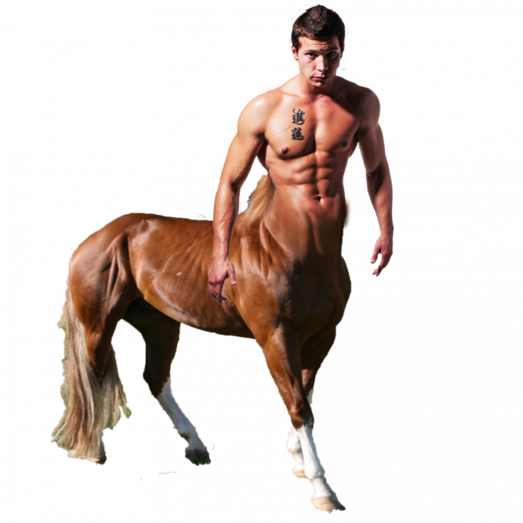 centaur_wip_by_talesofnightwing-d678q6b.png