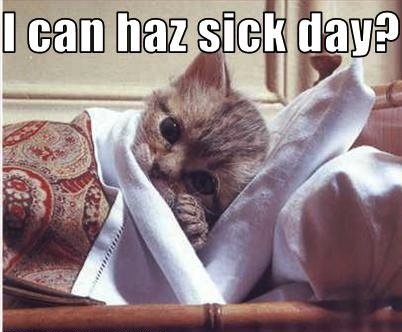 sick-day-lolcats.jpg