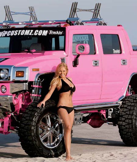 pink_hummer_1.jpg