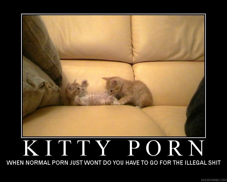 kitty%20porn.jpg