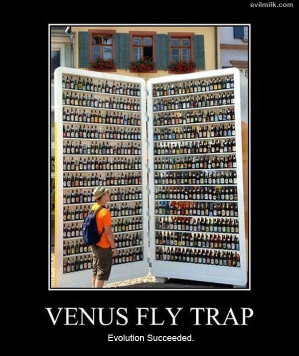 Venus_Fly_Trap.jpg