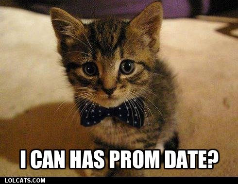 lolcatsdotcompromdate.jpg