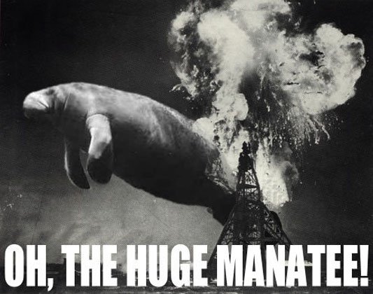 thehugemanatee.jpg